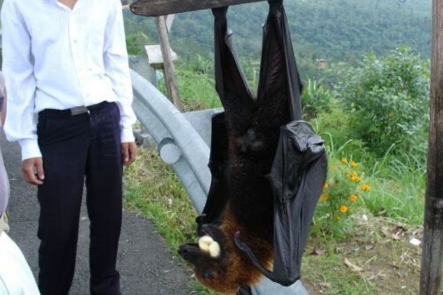 ELLITORAL_311058 | Redes Sociales