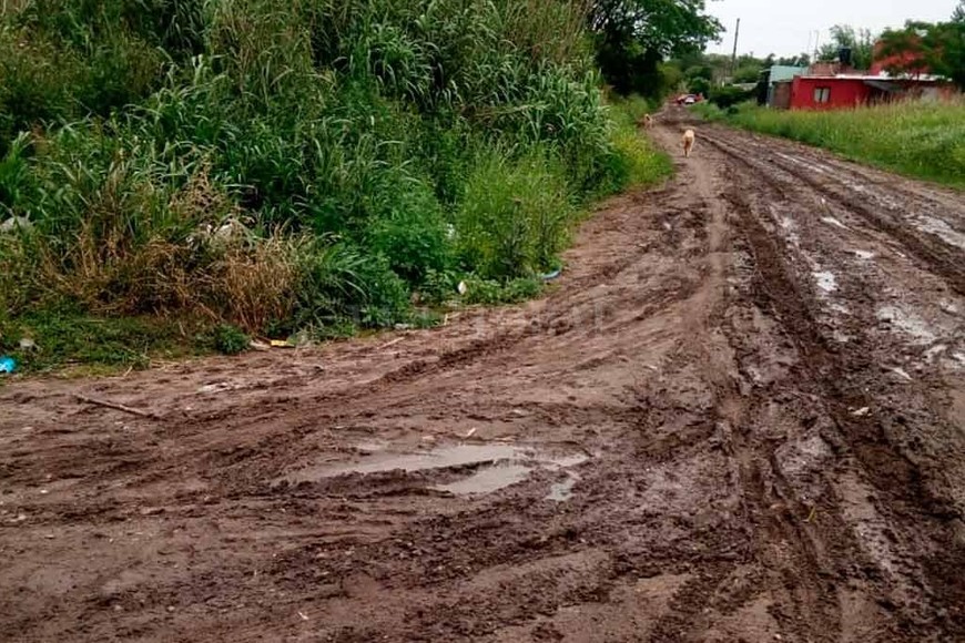 ELLITORAL_235002 | Periodismo Ciudadano / WhatsApp José Cibils 3400