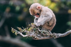 ELLITORAL_286789 |  Captura de pantalla