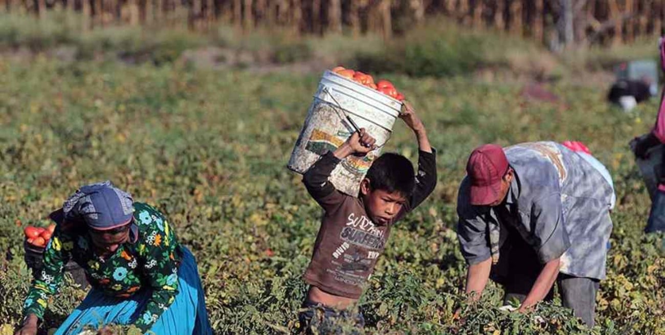 El Gobierno presenta un programa para la erradicación de la explotación laboral infantil