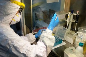 ELLITORAL_325374 |  Última Hora