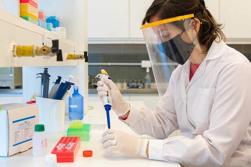 ELLITORAL_331689 |  Gentileza. Fortalecimiento del monitoreo epidemiológico local de COVID-19 en personas asintomáticas para mejorar la red sanitaria de su abordaje.jpg