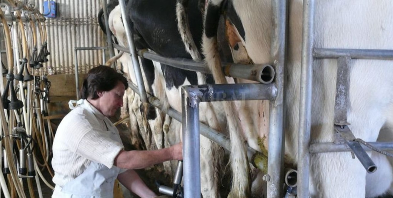 Aumentó 1,3% el precio de la leche al productor en marzo