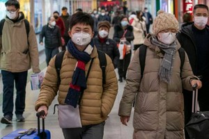 ELLITORAL_293240 |  Imagen representativa