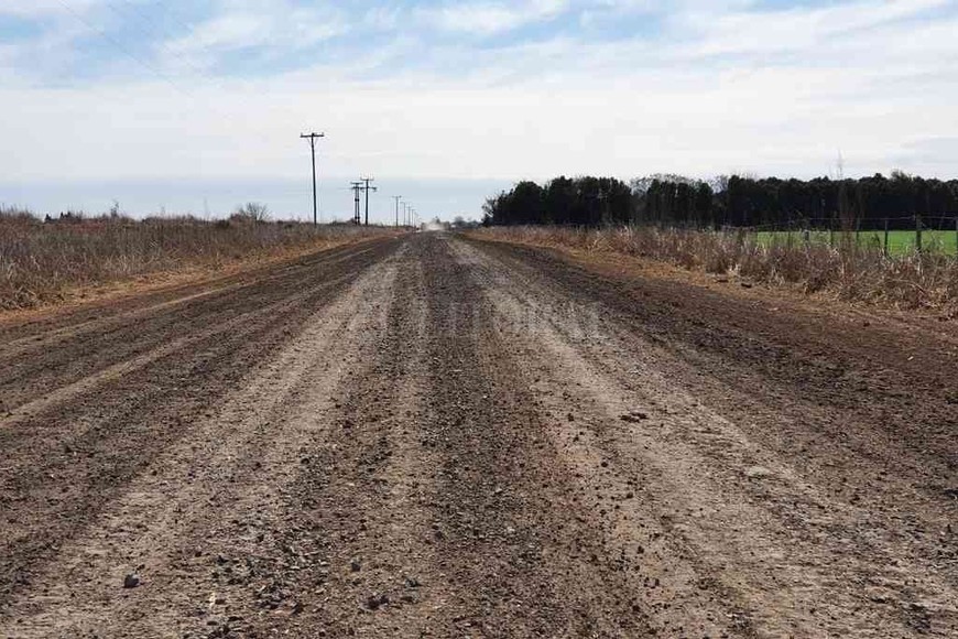 ELLITORAL_319194 |  Gentileza