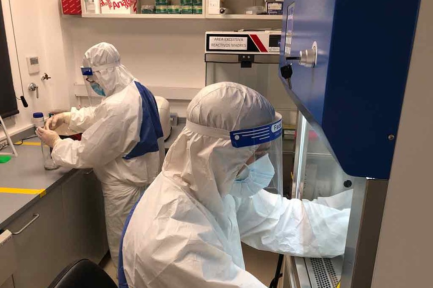 ELLITORAL_327203 |  Gentileza.