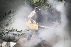 ELLITORAL_293911 |  Captura de pantalla