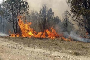 ELLITORAL_331322 |  Télam