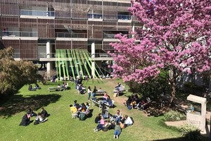 ELLITORAL_325848 |  Gentileza