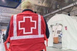 ELLITORAL_318847 |  Gentileza