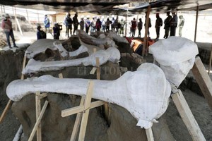 ELLITORAL_324586 |  Reuters