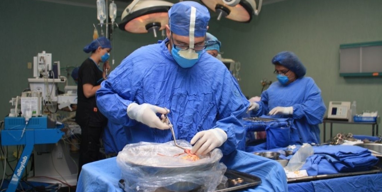En el país se realizaron 530 trasplantes en lo que va de la pandemia