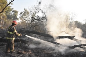 ELLITORAL_322862 |  Manuel Fabatía Las intervenciones de los bomberos para apagar incendios son diarias y desgastantes.