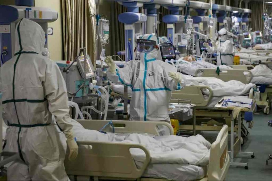 ELLITORAL_312890 | Gentileza