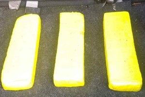 ELLITORAL_310005 |  Gentileza