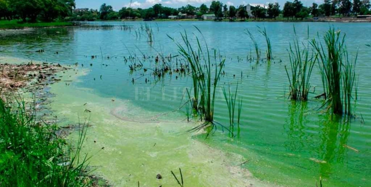 Concejales preocupados por las condiciones ambientales del lago en el Parque Sur