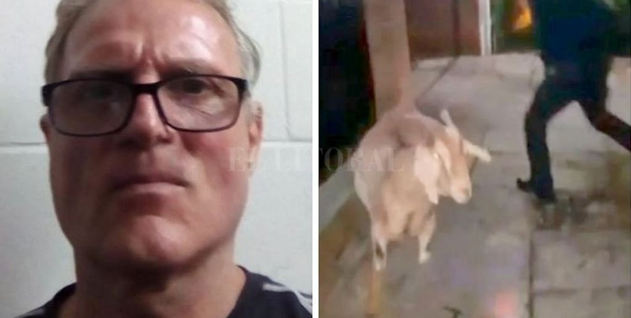 Caso Conzi: piden le revoquen la prisión domiciliaria luego que sacó a pasear cabras por la vereda