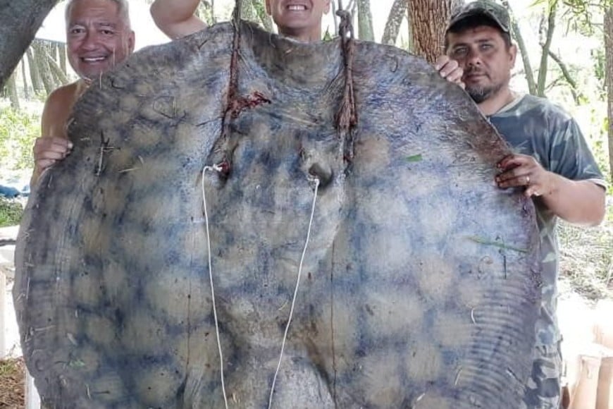 ELLITORAL_278855 | Gentileza