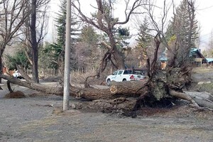 ELLITORAL_255188 |  MDZ Online Potrerillos fue una de las zonas más afectadas