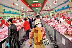 ELLITORAL_307742 |  Gentileza