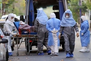 ELLITORAL_307537 |  NA