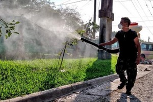 ELLITORAL_293846 |  Gentileza