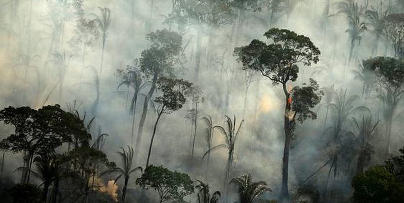 Preocupa el incremento de incendios en el Amazonas brasileño