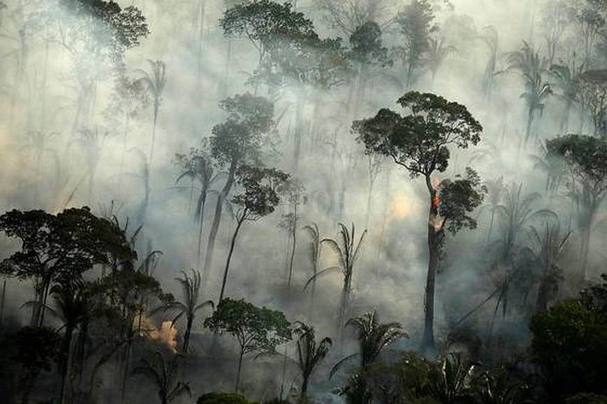 ELLITORAL_317267 |  Reuters