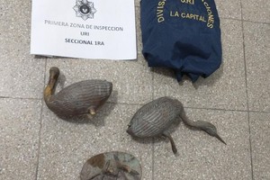 ELLITORAL_299632 |  Gentileza