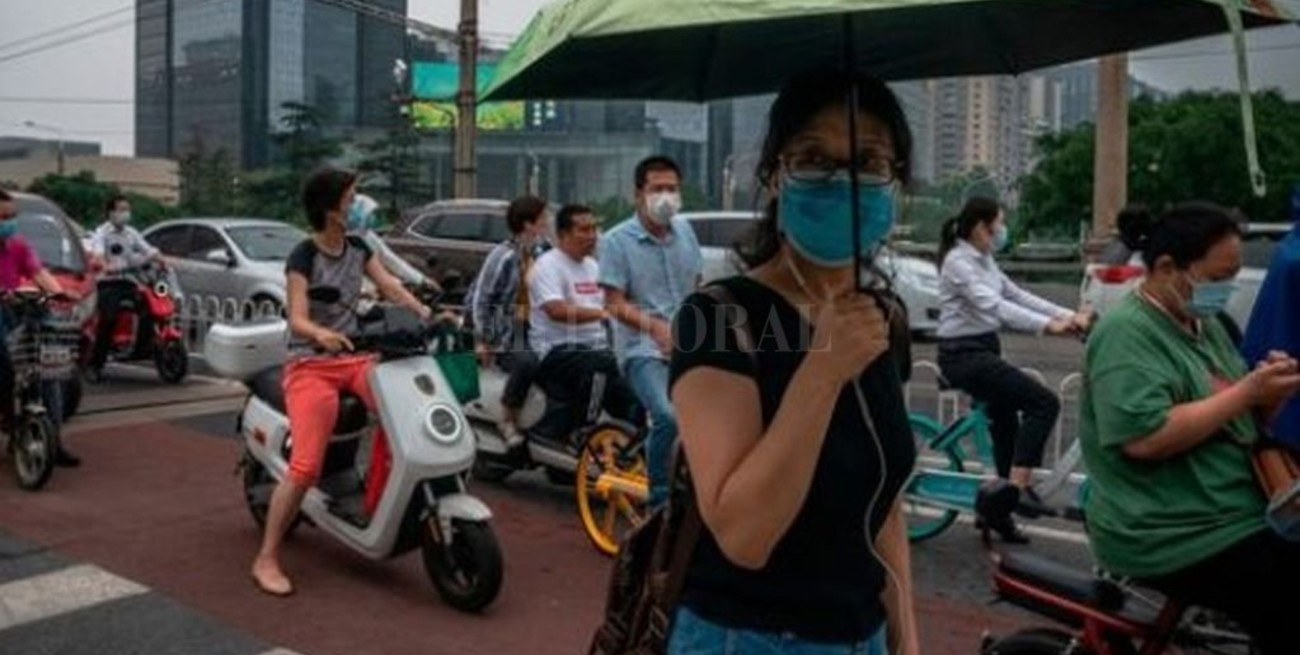 Para la OMS el caso de peste bubónica en China no constituye una amenaza