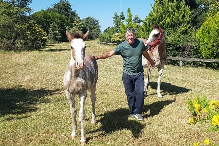 ELLITORAL_311548 |  Gentileza Eduardo Solari El hermano del  Indio   Eduardo Solari, camino a los 70, volvió a hablar con El Litoral después de muchos años sin entrevistas públicas.  Estoy en Rosario, pero capaz me levanto un día y me voy a a vivir a Europa porque toda mi familia está allá: Liz y Santiago, los conocidos, más mis otro hijos, uno que se recibió en Chipre , cuenta. La vida le pegó duro a Eduardo, perdiendo a Martín, otro hijo de 41 años, hace poco. Un testimonio imperdible.