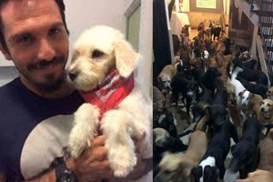 ELLITORAL_329920 |  Imagen ilustrativa