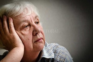 ELLITORAL_223489 |  Internet