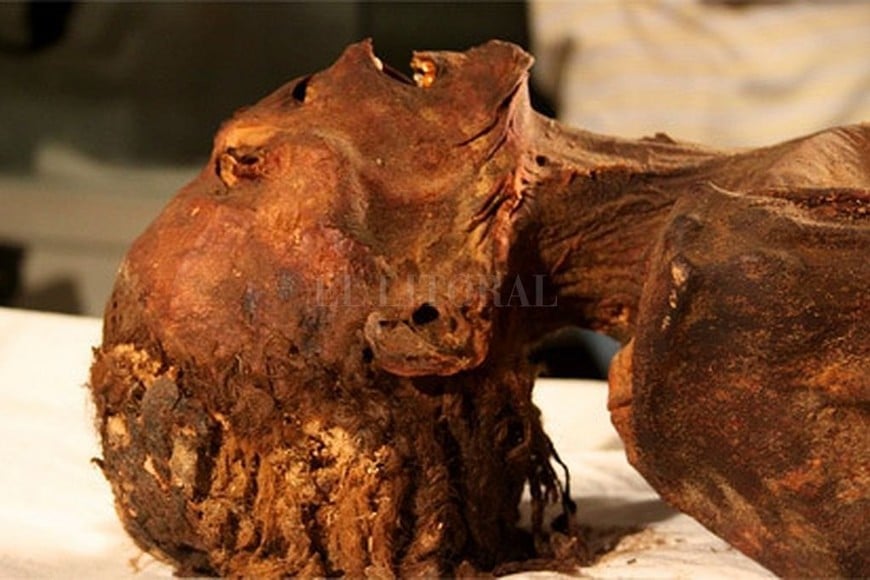 ELLITORAL_315691 |  Captura de pantalla