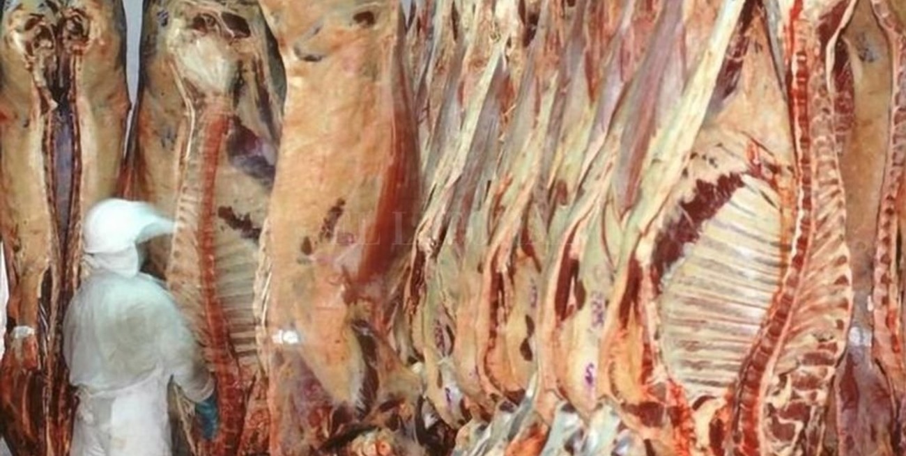 Coronavirus: descartan que afecte embarques de carne a China 