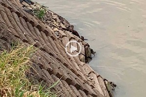 ELLITORAL_319249 |  El Litoral