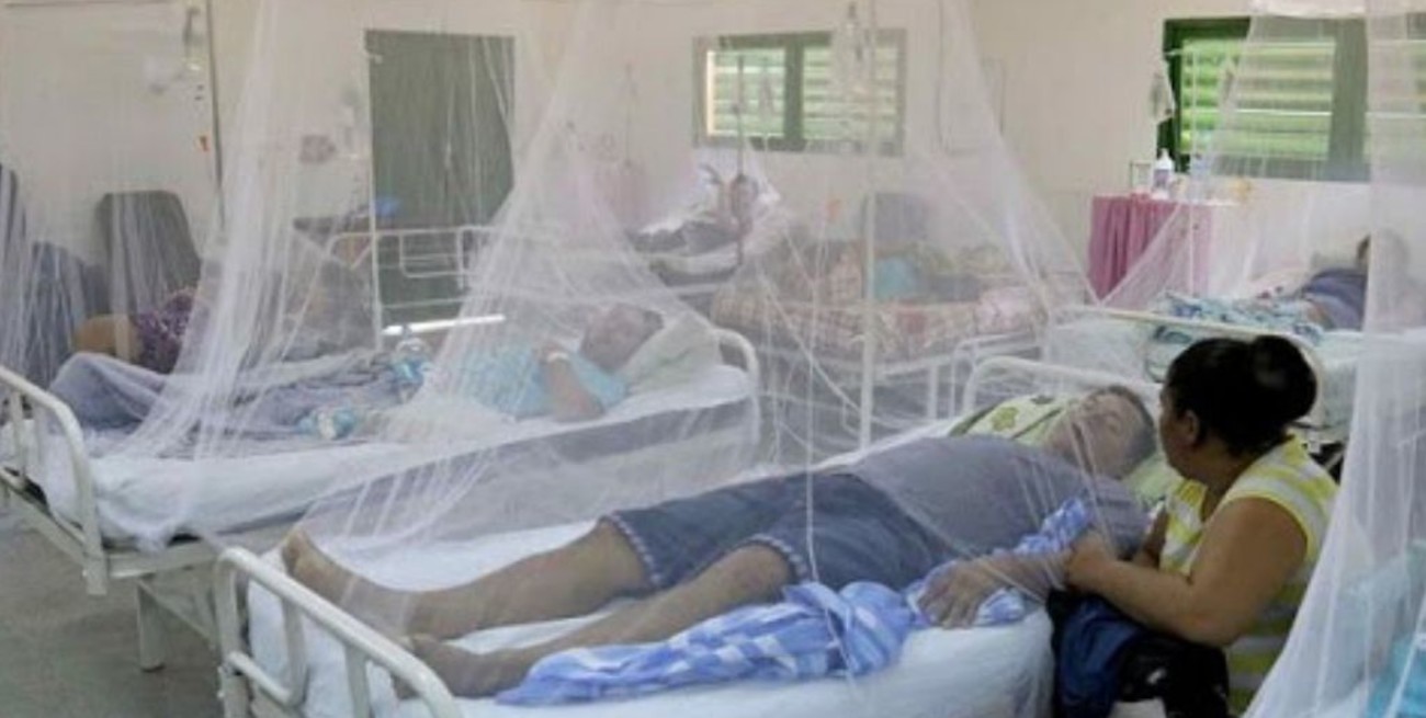 Ya son 16 los muertos por dengue en Paraguay en lo que va del año
