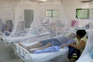 ELLITORAL_285482 |  Archivo