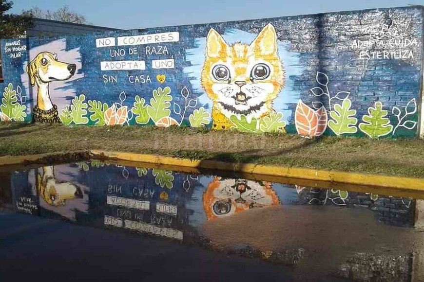 ELLITORAL_322823 |  Gentileza