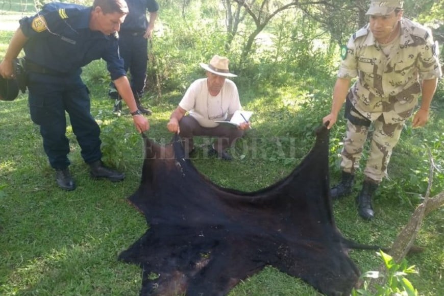 ELLITORAL_274154 |  Captura de pantalla