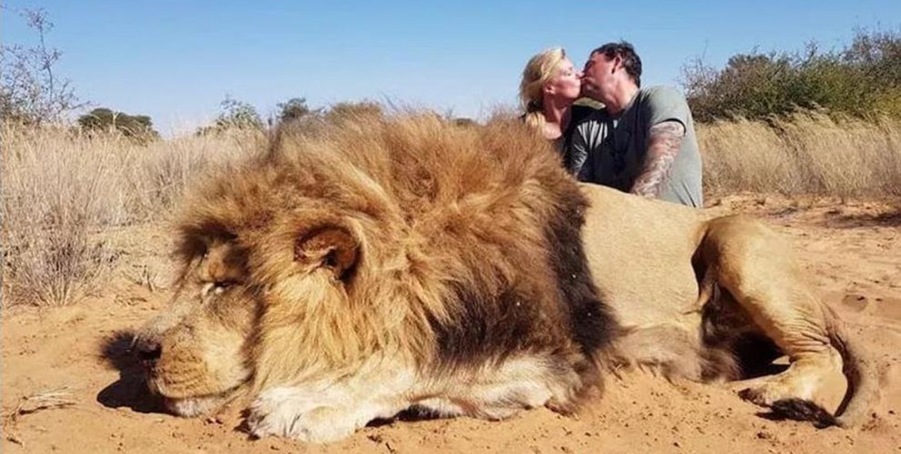Escándalo por fotos de turistas junto a un león asesinado