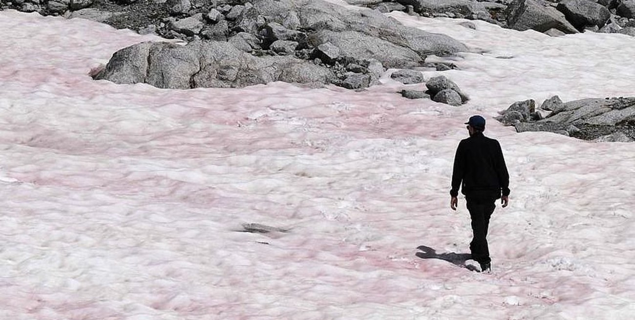 Investigan las misteriosas causas que tiñeron de rosa al glaciar de Presena