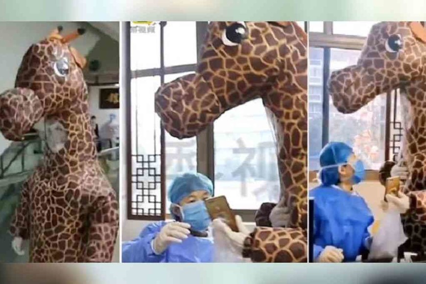 ELLITORAL_286104 |  Gentileza