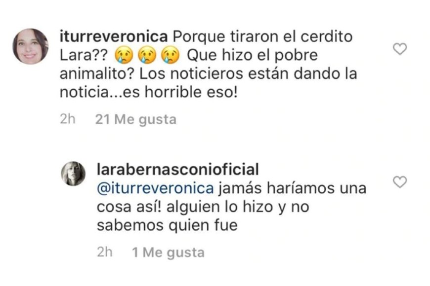 ELLITORAL_280292 |  Gentileza