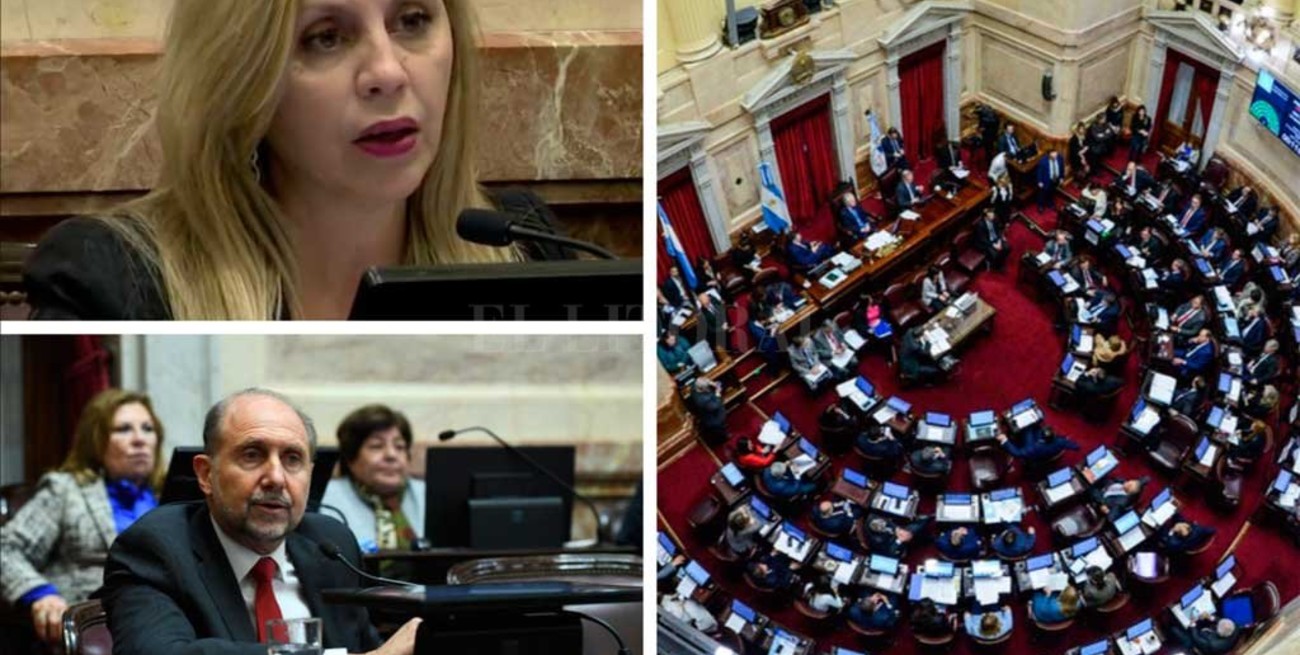 Qué dijeron y cómo votaron los senadores santafesinos sobre la despenalización del aborto