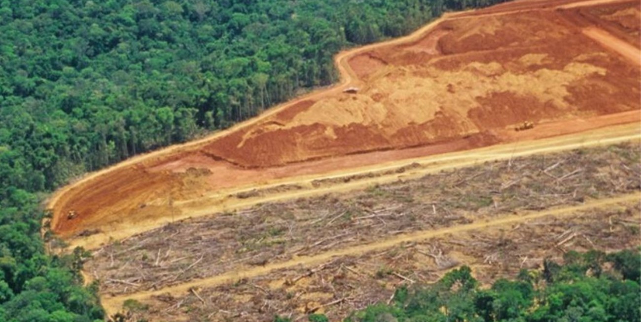 Crecieron 10% las emisiones de carbono en Brasil por la deforestación del Amazonas