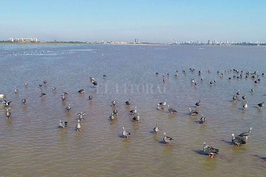 ELLITORAL_317798 |  Fernando Nicola Chajás en la Laguna Setúbal durante el aislamiento social preventivo y obligatorio.