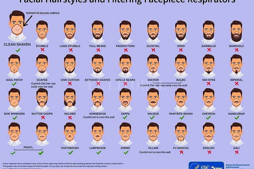 ELLITORAL_287317 |  CDC