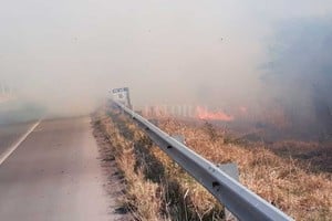 ELLITORAL_321271 |  Gentileza