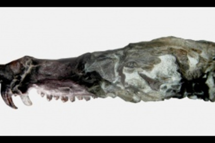 ELLITORAL_259652 |  Telam